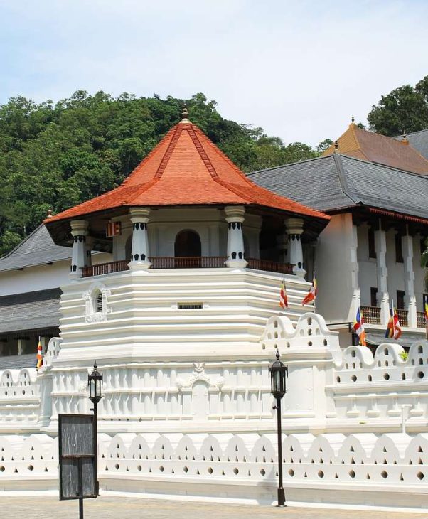 Discover the Cultural Gem of Kandy with Pearl Paradise Tours